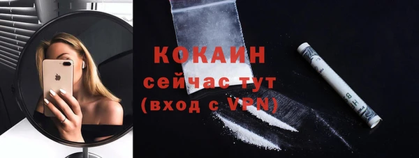 сатива Бугульма