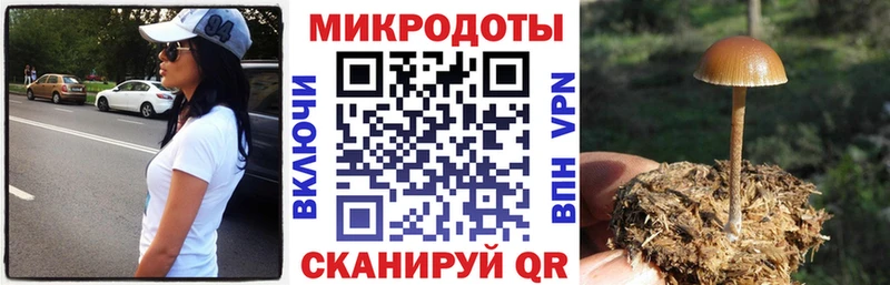 Галлюциногенные грибы Magic Shrooms Вытегра